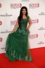 at Abu Dhabi Film Festival on 27th oct 2013 (15)_526e069392aa4.JPG