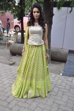 Mallika Sherawat at the grand finale of The Bachelorette in Filmcity, Mumbai on 5th Nov 2013 (47)_527a3985db2ee.JPG