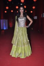 Mallika Sherawat at the grand finale of The Bachelorette in Filmcity, Mumbai on 5th Nov 2013 (57)_527a39893e2b6.JPG