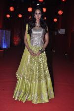 Mallika Sherawat at the grand finale of The Bachelorette in Filmcity, Mumbai on 5th Nov 2013 (64)_527a398bcf9b3.JPG