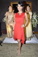 at ABIL Pune Fashion Week on 10th Nov 2013,1 (12)_528097da8a12c.JPG