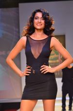 Sarah jane Dias at Signature International fashion week in Mehboob, Mumbai on 16th Nov 2013 (17)_5288fcbb42dd4.JPG