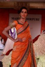 at Maheka Mirpuri Fashion Show in Taj Hotel, Mumbai on 16th Nov 2013 (291)_5288fa044ffdd.JPG