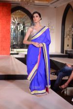 at Maheka Mirpuri Fashion Show in Taj Hotel, Mumbai on 16th Nov 2013 (338)_5288fa1ad842f.JPG