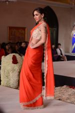 at Maheka Mirpuri Fashion Show in Taj Hotel, Mumbai on 16th Nov 2013 (341)_5288fa1bf1bf8.JPG