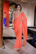 at Maheka Mirpuri Fashion Show in Taj Hotel, Mumbai on 16th Nov 2013 (345)_5288fa1ec1d69.JPG