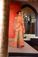 at Maheka Mirpuri Fashion Show in Taj Hotel, Mumbai on 16th Nov 2013 (350)_5288fa20db934.JPG