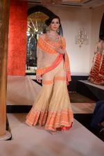 at Maheka Mirpuri Fashion Show in Taj Hotel, Mumbai on 16th Nov 2013 (351)_5288fa2141c9d.JPG