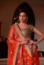 at Maheka Mirpuri Fashion Show in Taj Hotel, Mumbai on 16th Nov 2013 (354)_5288fa2292e75.JPG