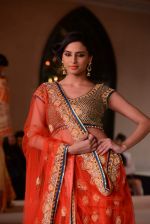 at Maheka Mirpuri Fashion Show in Taj Hotel, Mumbai on 16th Nov 2013 (355)_5288fa22f36ab.JPG
