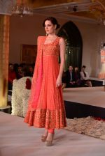 at Maheka Mirpuri Fashion Show in Taj Hotel, Mumbai on 16th Nov 2013 (357)_5288fa23c5361.JPG