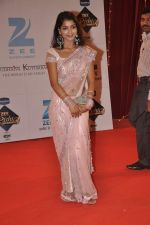 at Zee Rishtey Awards in Andheri Sports Complex, Mumbai on 16th Nov 2013 (10)_52890079197fc.JPG