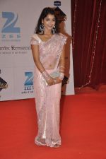 at Zee Rishtey Awards in Andheri Sports Complex, Mumbai on 16th Nov 2013 (12)_52890079c642d.JPG