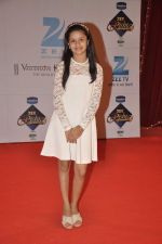 at Zee Rishtey Awards in Andheri Sports Complex, Mumbai on 16th Nov 2013 (20)_5289007b946ed.JPG
