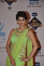 at Zee Rishtey Awards in Andheri Sports Complex, Mumbai on 16th Nov 2013 (62)_5289008408ef4.JPG