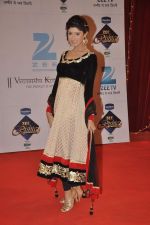 at Zee Rishtey Awards in Andheri Sports Complex, Mumbai on 16th Nov 2013 (7)_5289007723aec.JPG