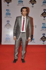 at Zee Rishtey Awards in Andheri Sports Complex, Mumbai on 16th Nov 2013 (73)_528900858d485.JPG