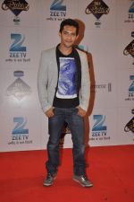 at Zee Rishtey Awards in Andheri Sports Complex, Mumbai on 16th Nov 2013 (81)_52890088b0740.JPG