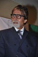 Amitabh Bachchan at the press conference of URJA Foundation in Novotel, Mumbai on 19th Nov 2013 (6)_528c65daaca64.JPG