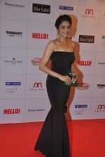 Madhoo Shah at Hello hall of  fame awards 2013 in Palladium Hotel, Mumbai on 24th Nov 2013(324)_529349598be00.JPG