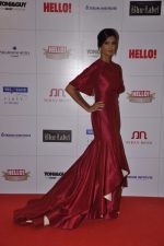 Poorna Jagannathan at Hello hall of  fame awards 2013 in Palladium Hotel, Mumbai on 24th Nov 2013 (123)_52934937cba81.JPG