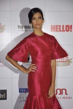 Poorna Jagannathan at Hello hall of  fame awards 2013 in Palladium Hotel, Mumbai on 24th Nov 2013 (126)_5293493624d47.JPG