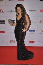 Pria Kataria Puri at Hello hall of  fame awards 2013 in Palladium Hotel, Mumbai on 24th Nov 2013 (133)_52934913a5f97.JPG