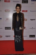 Sheetal Mafatlal at Hello hall of  fame awards 2013 in Palladium Hotel, Mumbai on 24th Nov 2013 (73)_529339cfb00b4.JPG