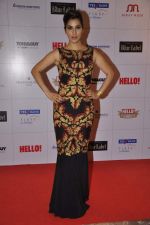 Sophie Chaudhary at Hello hall of  fame awards 2013 in Palladium Hotel, Mumbai on 24th Nov 2013 (184)_529338fdb9fbe.JPG
