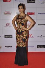 Sophie Chaudhary at Hello hall of  fame awards 2013 in Palladium Hotel, Mumbai on 24th Nov 2013 (188)_529338fbb0669.JPG