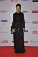 at Hello hall of  fame awards 2013 in Palladium Hotel, Mumbai on 24th Nov 2013 (145)_529338961206e.JPG