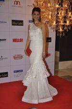 at Hello hall of  fame awards 2013 in Palladium Hotel, Mumbai on 24th Nov 2013 (155)_5293388e8557a.JPG