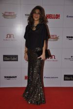 at Hello hall of  fame awards 2013 in Palladium Hotel, Mumbai on 24th Nov 2013 (167)_5293388a9017f.JPG