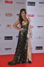 at Hello hall of  fame awards 2013 in Palladium Hotel, Mumbai on 24th Nov 2013(280)_52933888a5126.JPG
