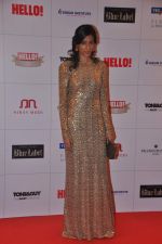 at Hello hall of  fame awards 2013 in Palladium Hotel, Mumbai on 24th Nov 2013(311)_5293387ec9d7d.JPG