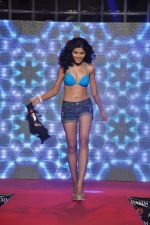 at Maxim-KS Bikini Contest in Mumbai on 28th Nov 2013 (35)_529837c079afc.JPG