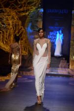 Model walk the ramp for Gaurav Gupta showcase on day 2 of bridal week in Mumbai on 30th Nov 2013 (166)_529afd29af40d.JPG