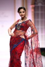 Model walk the ramp for Pallavi Jaikishan showcase on day 2 of bridal week in Mumbai on 30th Nov 2013 (117)_529afd5c0ac77.JPG