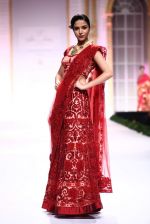 Model walk the ramp for Pallavi Jaikishan showcase on day 2 of bridal week in Mumbai on 30th Nov 2013 (128)_529afd564eecc.JPG
