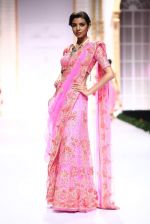 Model walk the ramp for Pallavi Jaikishan showcase on day 2 of bridal week in Mumbai on 30th Nov 2013 (140)_529afd509c0d3.JPG