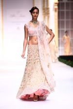 Model walk the ramp for Pallavi Jaikishan showcase on day 2 of bridal week in Mumbai on 30th Nov 2013 (155)_529afd4993a9f.JPG