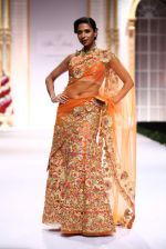 Model walk the ramp for Pallavi Jaikishan showcase on day 2 of bridal week in Mumbai on 30th Nov 2013 (171)_529afd3fd24fd.JPG