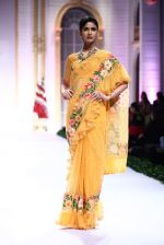 Model walk the ramp for Pallavi Jaikishan showcase on day 2 of bridal week in Mumbai on 30th Nov 2013 (47)_529afd7fb9b28.JPG