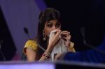 Shilpa Shetty on the sets on Nach Baliye 6 in Filmistan, Mumbai on 3rd Dec 2013  (89)_529f64cb6fa89.JPG