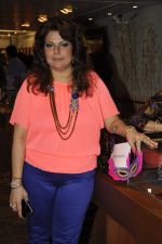 at Shilpa Puri_s collection launch at Fuel in Chowpatty, Mumbai on 3rd Dec 2013 (6)_529f641d8b747.JPG