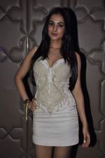 Sonal Chauhan at Grey Goose in association with Noblesse fashion bash in Four Seasons, Mumbai on 10th Dec 2013 (76)_52a8118f1c442.JPG