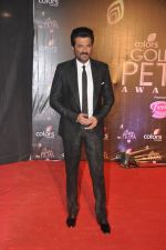 Anil Kapoor at Colors Golden Petal Awards 2013 in BKC, Mumbai on 14th Dec 2013 (201)_52ad7a41391a8.JPG