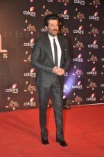 Anil Kapoor at Colors Golden Petal Awards 2013 in BKC, Mumbai on 14th Dec 2013 (204)_52ad7a42d3886.JPG