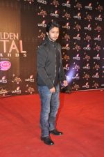 at Colors Golden Petal Awards 2013 in BKC, Mumbai on 14th Dec 2013 (143)_52ad7af86aead.JPG
