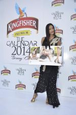 at Kingfisher 2013 calendar launch in Alibaug, Mumbai on 21st Dec 2013 (624)_52b6b82850a29.JPG